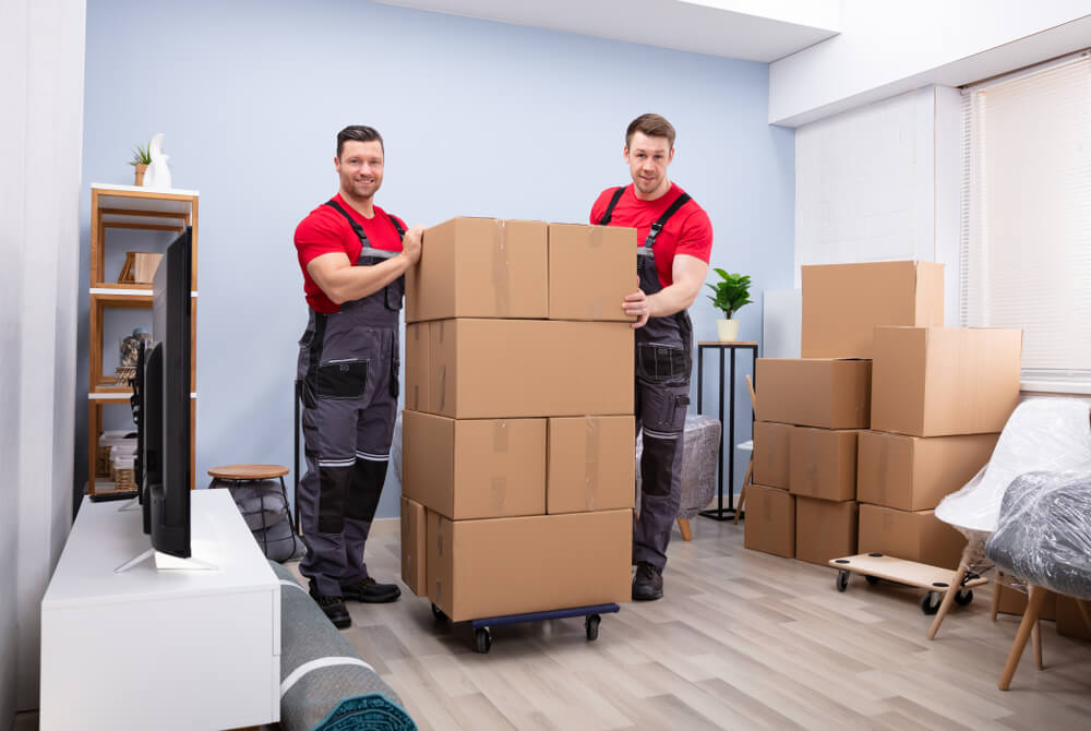 Moving Labor Services Frederick
